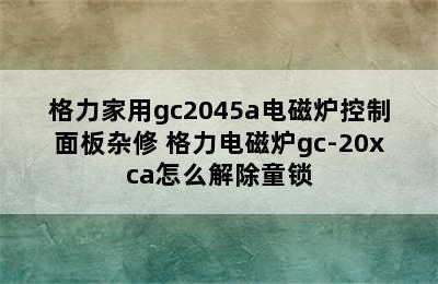 格力家用gc2045a电磁炉控制面板杂修 格力电磁炉gc-20xca怎么解除童锁